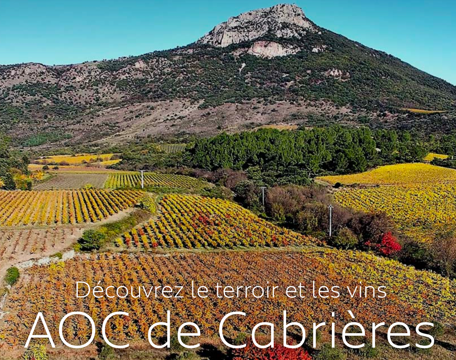 AOP LANGUEDOC CABRIERES    Cantate des Garrigues  75cl