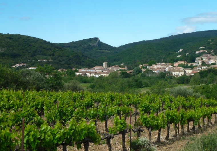 AOP LANGUEDOC CABRIERES    Cantate des Garrigues  75cl