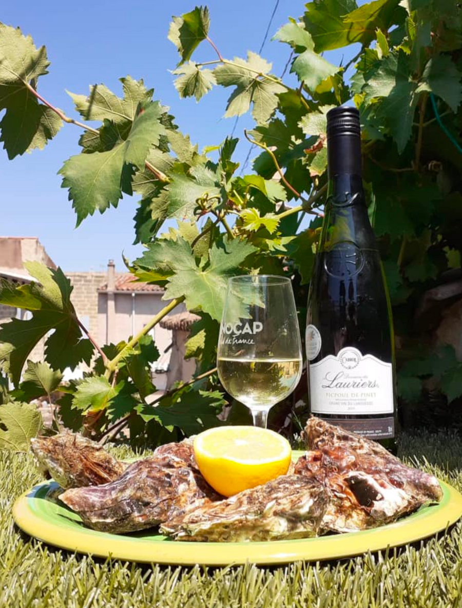 AOP PICPOUL DE PINET  Picpoul de Pinet   75cl