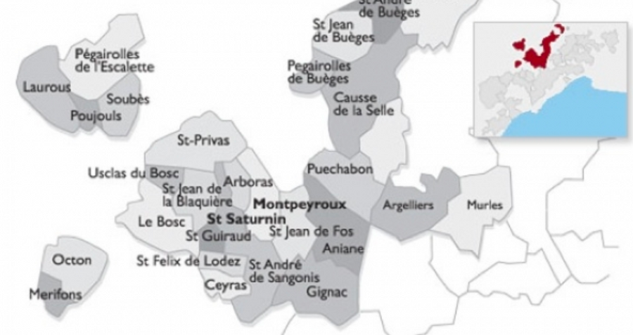 AOP LANGUEDOC MONTPEYROUX  Montpeyroux    75 cl