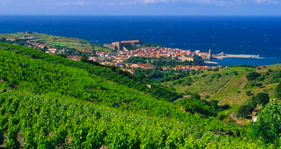 AOP COLLIOURE Folio Edition speciale       75cl