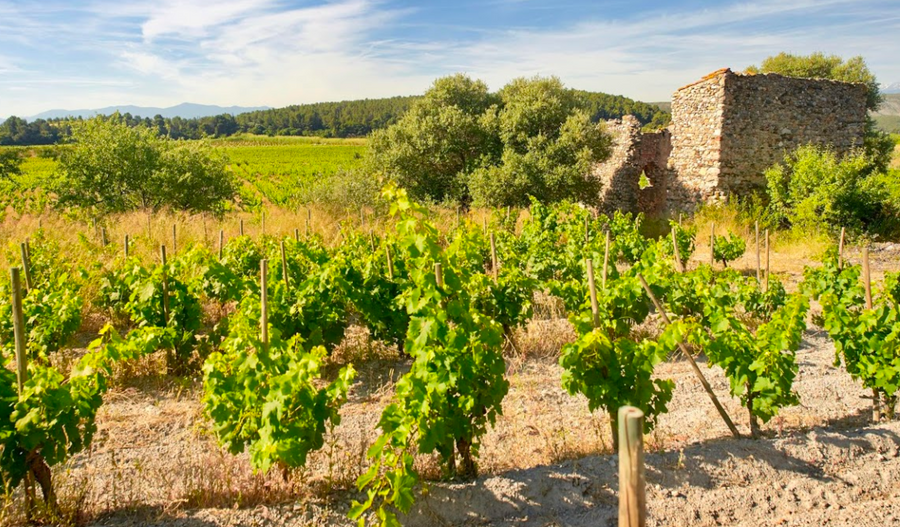 IGP COTES CATALANES  Les Combes  75cl