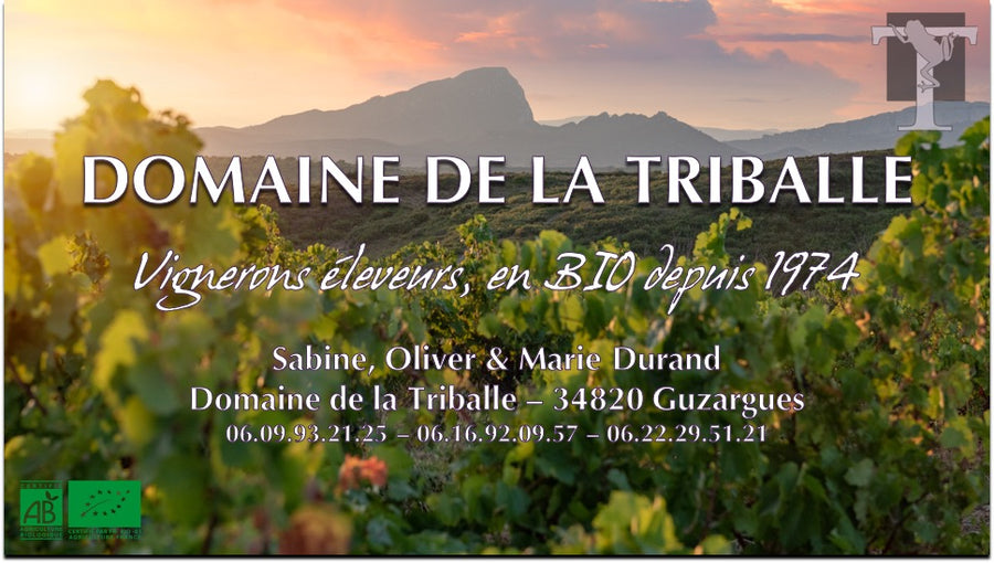 AOP PIC ST LOUP   Enfin!   75cl
