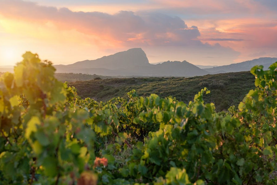 AOP PIC ST LOUP   Enfin!   75cl